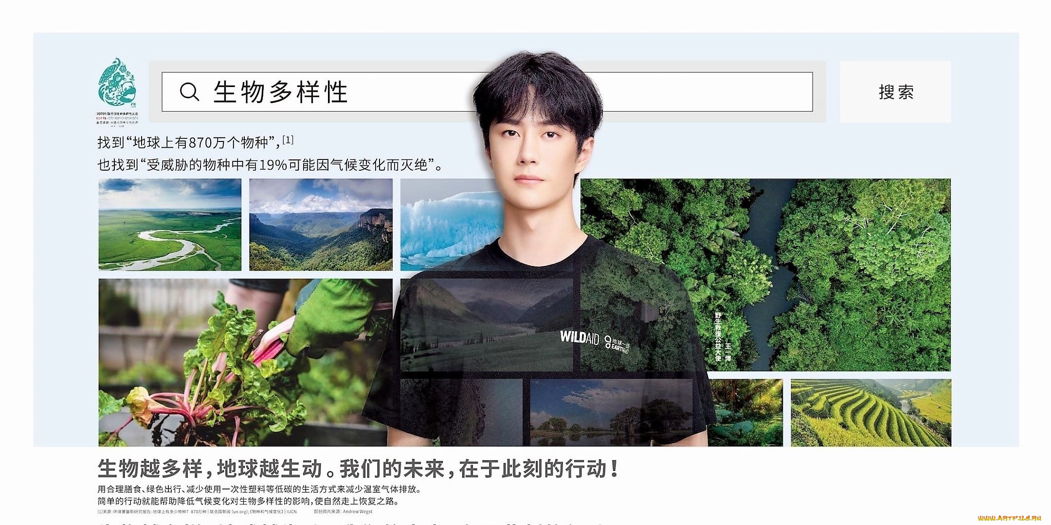 , wang yi bo, , , 